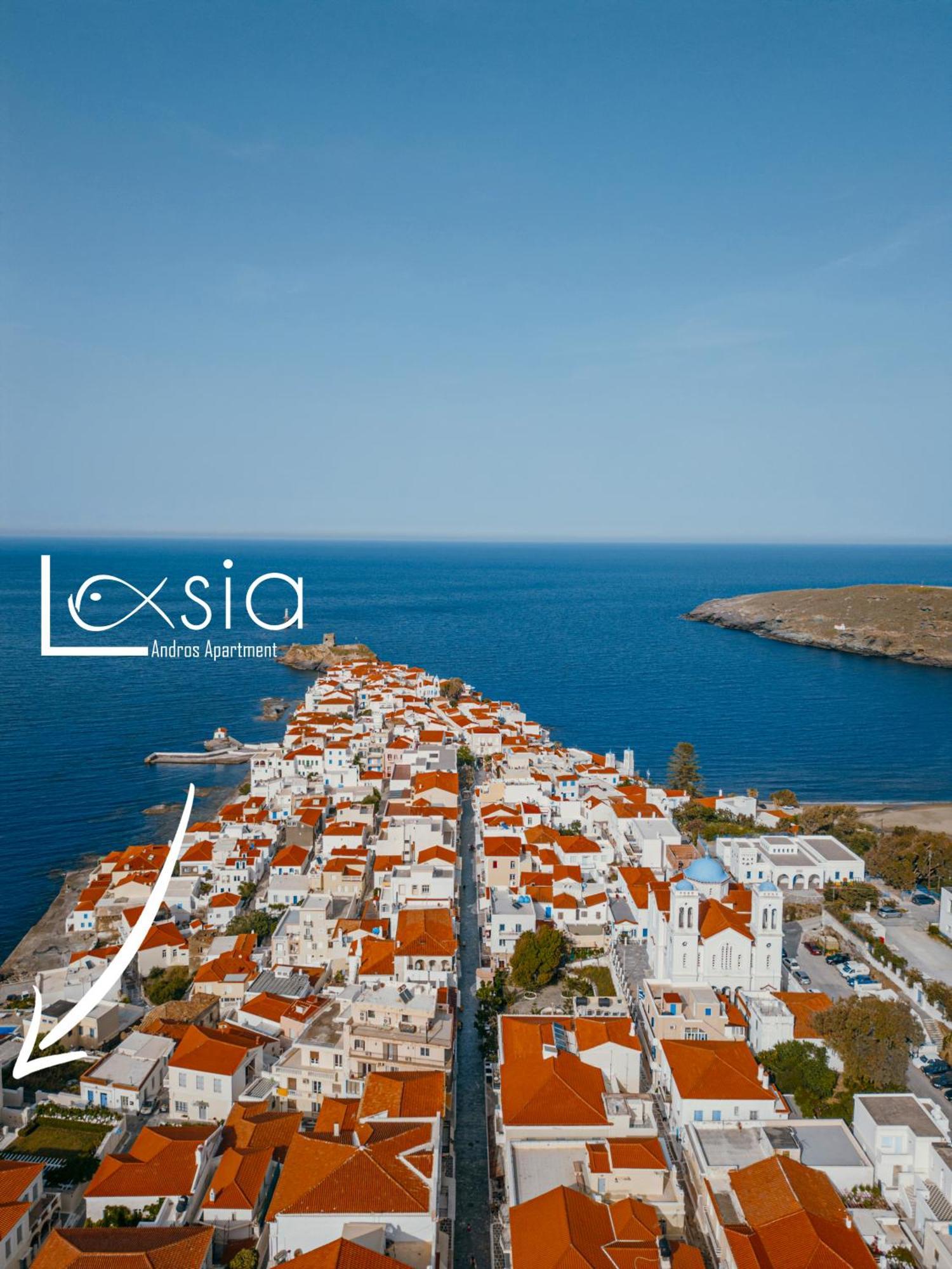 Andros Apartment - Lasia Exterior foto